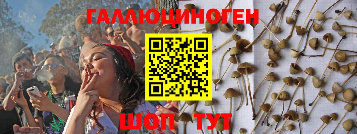 Галлюциногенные грибы мицелий  Псилоцибиновые грибы мицелий  Полысаево  Вход с VPN 
