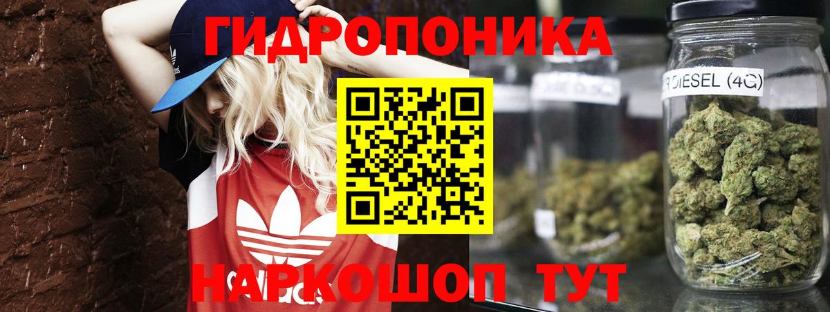 Каннабис сатива Полысаево
